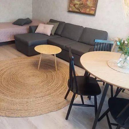 Kodikas Kaksio Pieksaemaeen Keskustasta