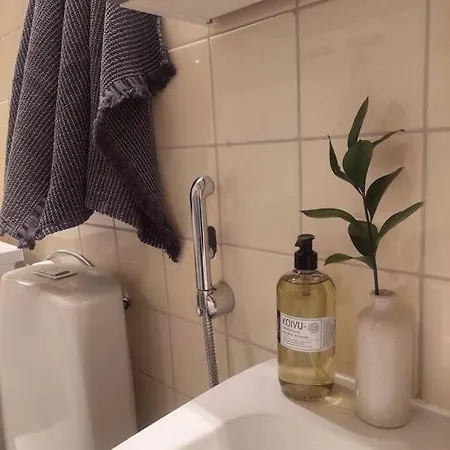 Kodikas Kaksio Pieksaemaeen Keskustasta Apartment *