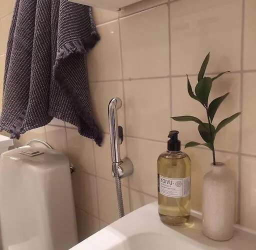 Kodikas Kaksio Pieksaemaeen Keskustasta Apartamento *